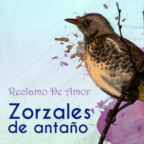 Zorzales de Antaño…Reclamo De Amor