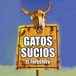 El Forastero