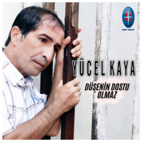 Düşenin Dostu Olmaz