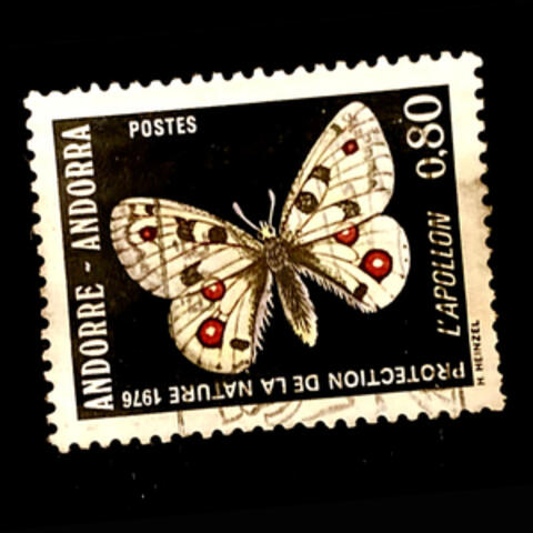 De Kift