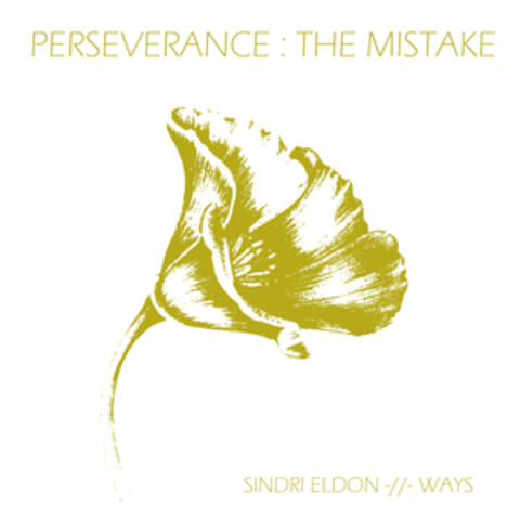 The Mistake b/w Perseverance