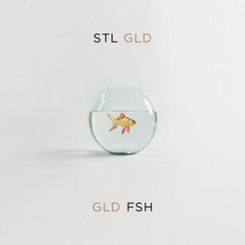 Gld Fsh