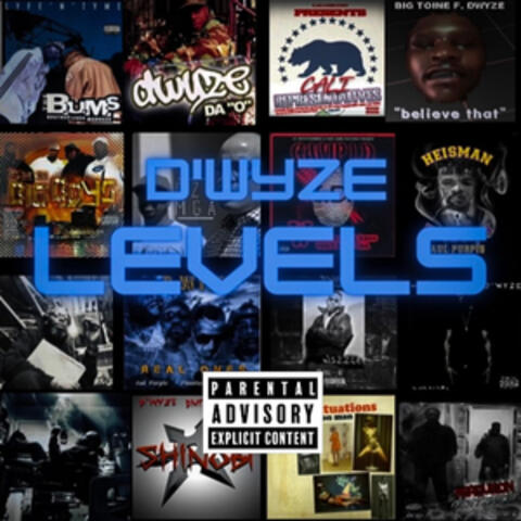 Levels