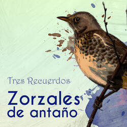 Vals Del Recuerdo