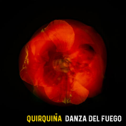Danza del Fuego