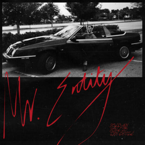 Mr. Entity