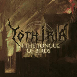 In the Tongue of Birds