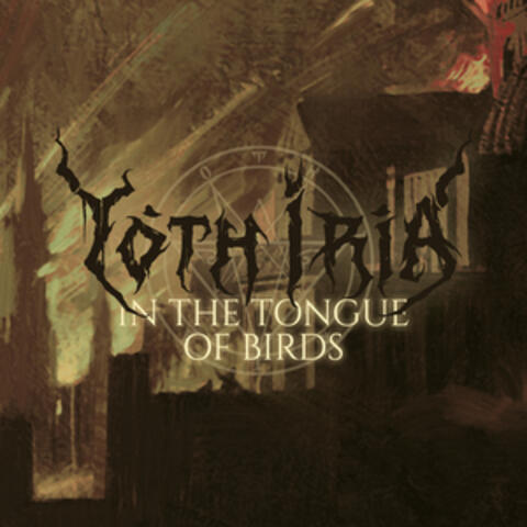 In The Tongue Of Birds