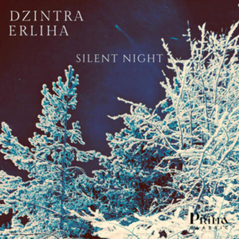 Silent Night (Fireplace Version) [Arr. for Piano by Dzintra Erliha]