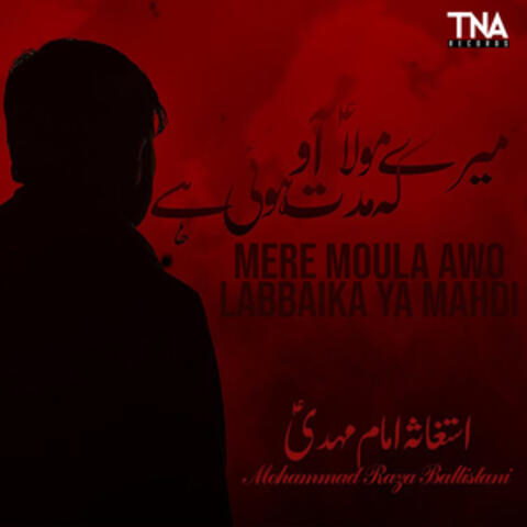 Mere Moula Awo Labbaika Ya Mahdi - Single