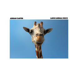SMALLER ANIMAL DISCO