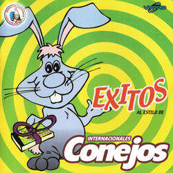 Corazón Partío