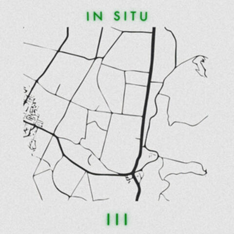 In Situ: III