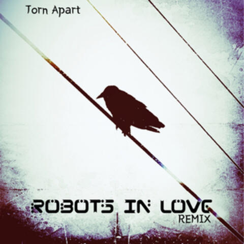 Torn Apart