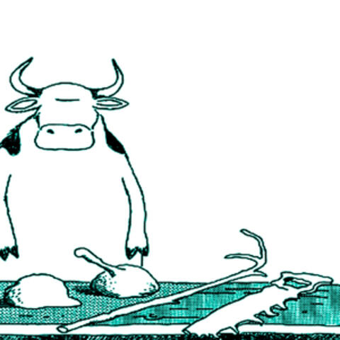 Cow Tools