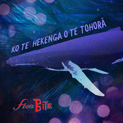 Ko te Hekenga o te Tohora (Whales' Trails in te reo)