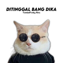 Ditinggal Bang Dika