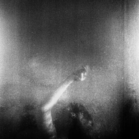 Nocturnal Depths + Calendar