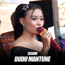 Dudu Mantune