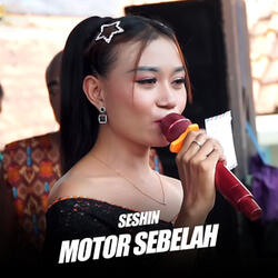 Motor Sebelah