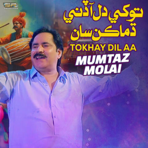 Tokhay Dil Aa - Single