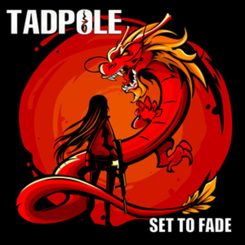 Set to Fade