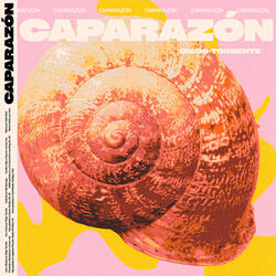CAPARAZÓN