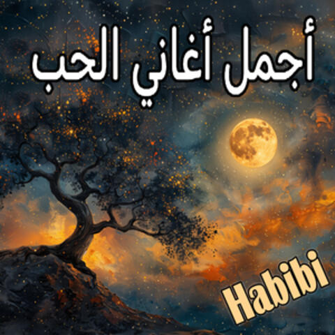 أجمل أغاني الحب