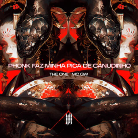 PHONK FAZ MINHA PICA DE CANUDINHO
