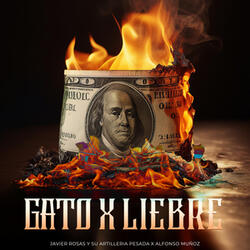 Gato x Liebre