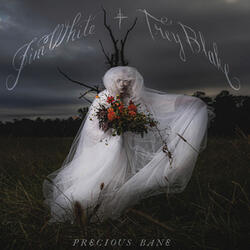 Ghost Song