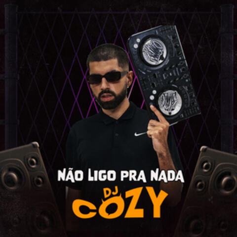 Não Ligo Pra Nada