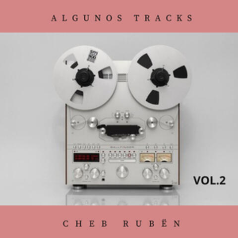 ALGUNOS TRACKS, Vol.2