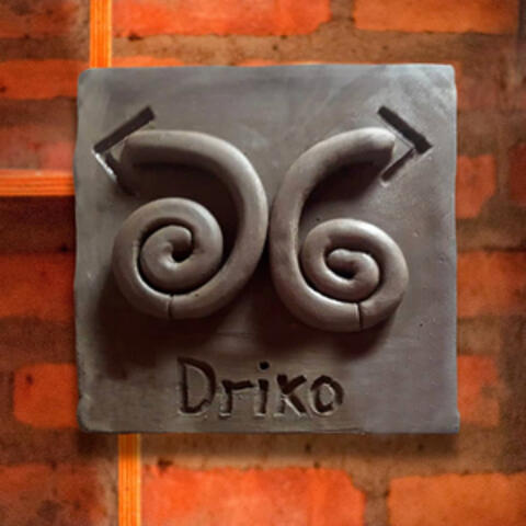Driko