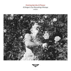 among the long shadows