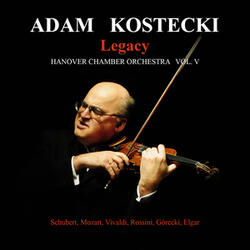 Serenade in G Major, Eine Kleine Nachtmusik, KV 525: I. Allegro II. Romance Andante III. Menuetto Allegretto IV. Rondo Allegro