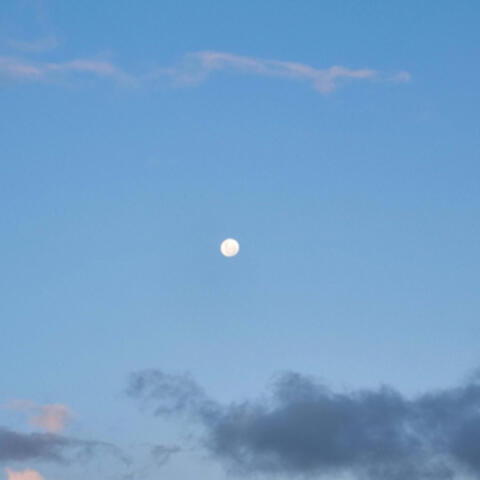 Blue Sky Moon