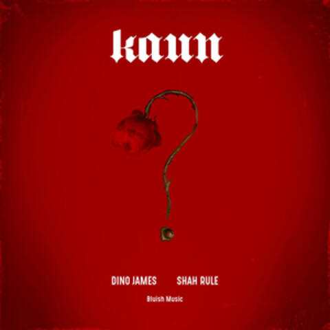 Kaun