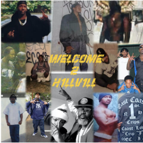 Welcome 2 Hillvill