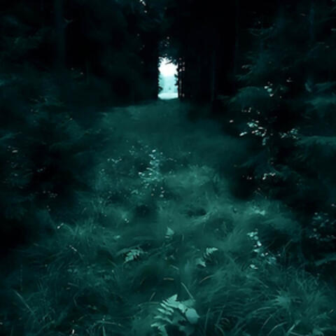 under your spell