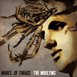 Harsh Tutelage of the Waltzing Kodiak