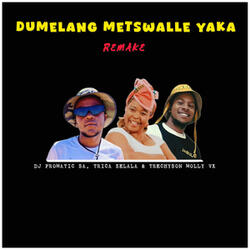 Dumelang Metswalle Yaka