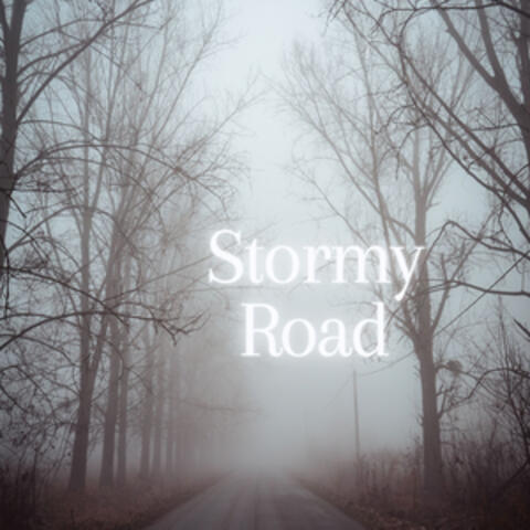 Stormy Road