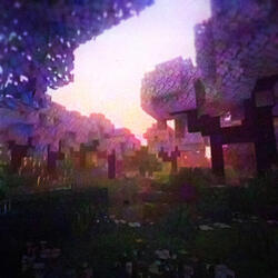 Cube Stories