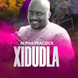 Xidudla