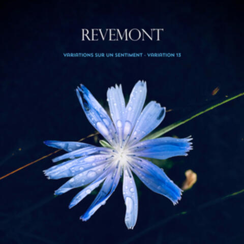 Variations sur un sentiment - Variation 13