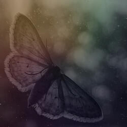 A Year Of Meditations - XVII