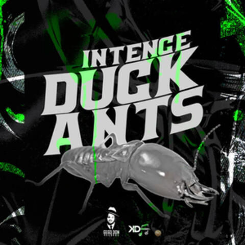Duck Ants