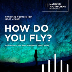 How Do You Fly?