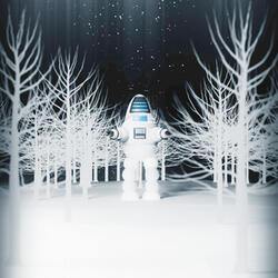 Winter Light, Winter Night